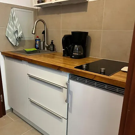 公寓 Apartment, Monteurwohnung Mit Ruhiger Terrasse In *